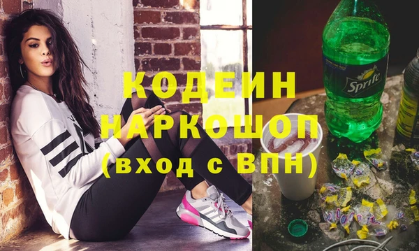 крисы Бородино