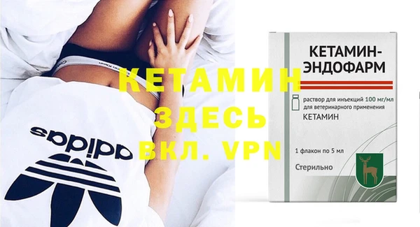 крисы Бородино