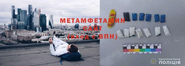 крисы Бородино