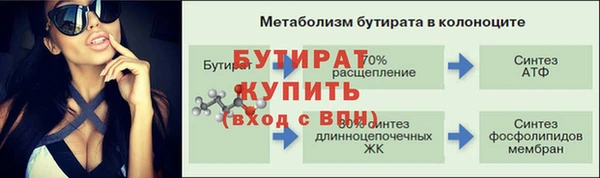 крисы Бородино