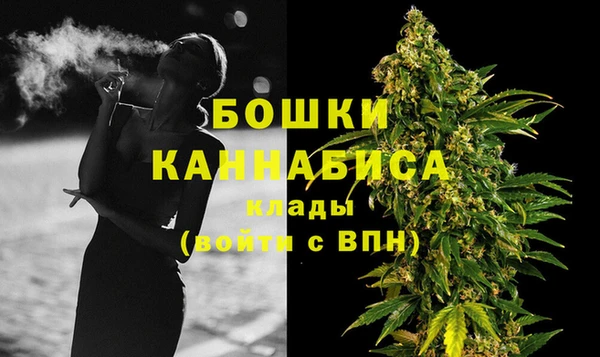 крисы Бородино