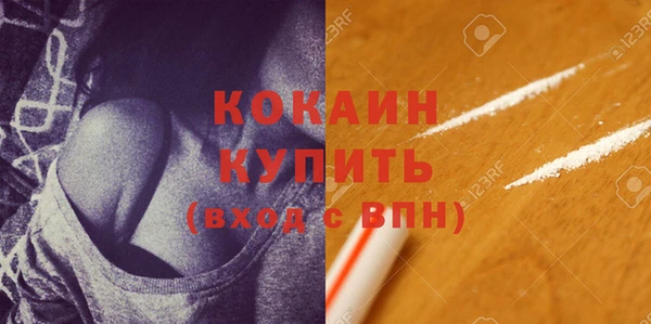 крисы Бородино